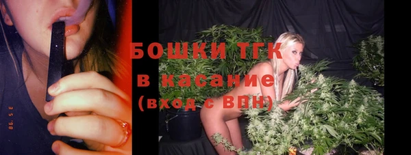 2c-b Пестово