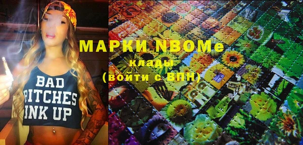 2c-b Пестово
